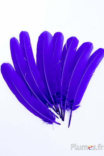 Oie - 25-30 cm - violet